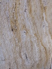 Textured travertine surface