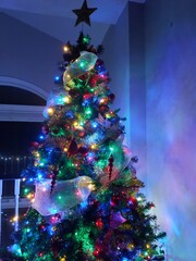 christmas tree and decorations