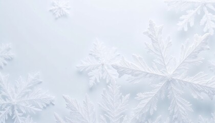 Frosty snowflakes background with delicate patterns on a pure white frosty backdrop