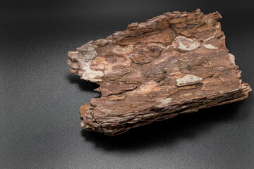 Natural Texture: Black Background with Mountain Pine Bark in Foreground, basis for original...