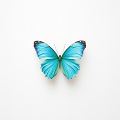 Fototapeta premium Vibrant blue butterfly with open wings against a white background