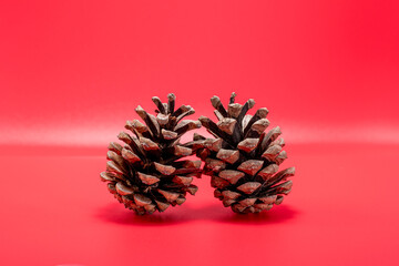 Fototapeta premium Two Pine Cones Collected in the Mountains in Autumn: the forest in the Studio on a Red Background, Isolated, Christmas theme.