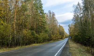 A road with trees on either side and a blue car parked on the side of the road