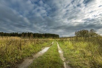 Obraz premium A road in a field with a cloudy sky in the background