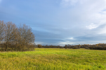 Obraz premium A field of grass with a few trees in the background