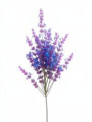 Fototapeta premium Stunning Purple Lavender Bouquet