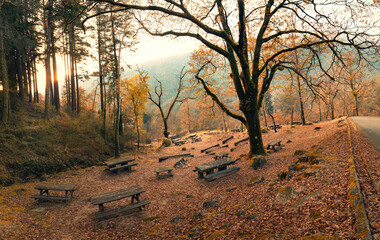 Warm sunlight filters through colorful autumn trees, creating a magical atmosphere in a picnic area within geres national park, portugal, showcasing nature's beauty