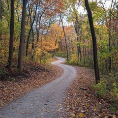 Naklejka premium A beautiful path winds through the colorful leaves of an autumn forest. It's a peaceful place, perfect for relaxing and enjoying nature.