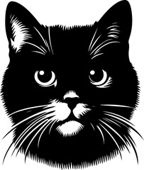Obraz premium black and white cat