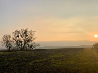 Fototapeta premium sunrise in the morning