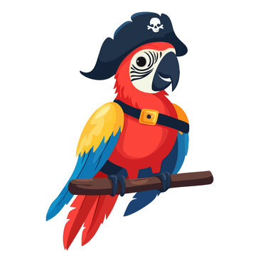 parrot pirate