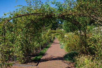 Fototapeta premium Jardin avec arche poétique
