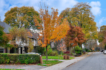 Residential street with fall foliage