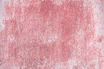 Fragment of a rusty grunge surface. Dark red background color. Scuffs and peeling of old paint....