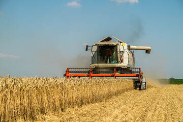 Combine harvester at work under the clear blue sky during wheat harvest season