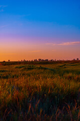 Vibrant Sunrise Over Tranquil Lagoon