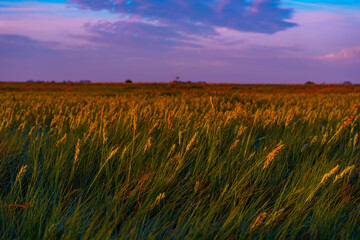 Vibrant Sunrise Over Tranquil Lagoon