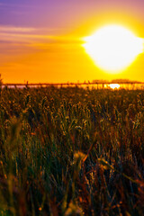 Vibrant Sunrise Over Tranquil Lagoon