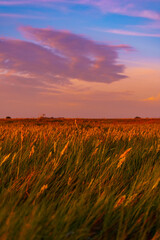 Vibrant Sunrise Over Tranquil Lagoon