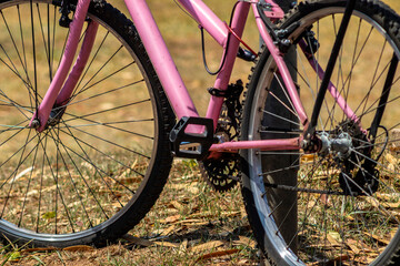 Fototapeta premium Detail of pink bicycle parked on grass