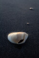 Amanecer en la Playa