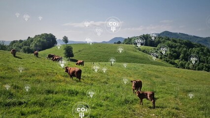 Greenhouse gases and CO2 emitted by cows. Carbon tax for cow and livestock
