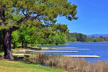 Boat ramps at Weston Park Canberra ACT four rowing racing boats on lake Burley Griffin on sunny day
