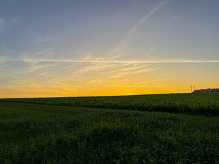 Fototapeta premium Sunset over a Green Field