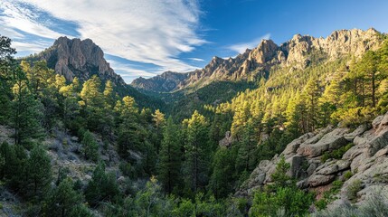 Obraz premium Evergreen forests blanketing mountain slopes, leading up to rugged, rocky peaks.