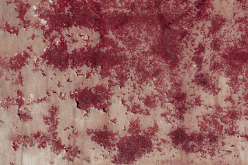 Fragment of a rusty grunge surface. Orange-brown background color. Scuffs and peeling of old paint....