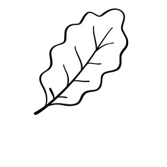 Autumn  season doodle outline illustration