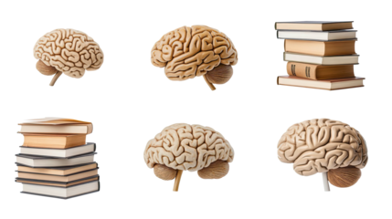 Science Concepts With Brains and Books on Transparent Background Generative AI