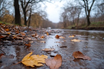Fototapeta premium Fallen leaves lie on the surface of a river in an autumnal forest.