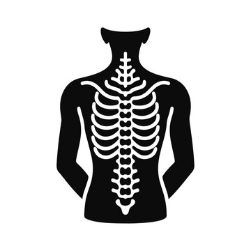 black human back skeleton anatomy clip art preview