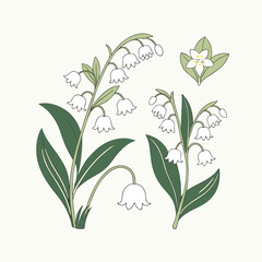 Green leaves and flowers form a vibrant, eco-friendly vector illustration of a diverse plant set, perfect for nature-inspired designs