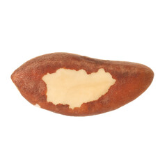 One tasty Brazil nut isolated on white