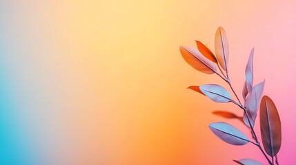 Obraz premium Vibrant Gradient Abstract Background Design