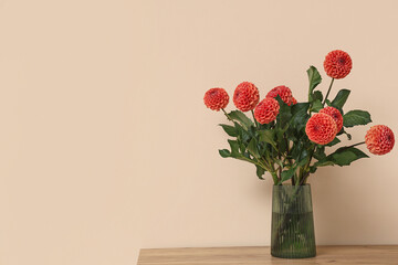 Vase with beautiful orange dahlia flowers on table against beige background