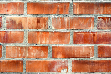 Fototapeta premium MURALLA DE LADRILLOS PARED