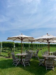 Hamptons Summer