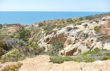 The Beautiful Torrey Pines State Natural Preserve in San Diego