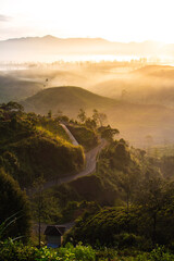 sunset over the road