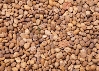Fototapeta premium stone texture in the garden