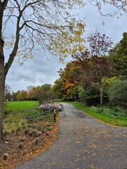 autumn in the park