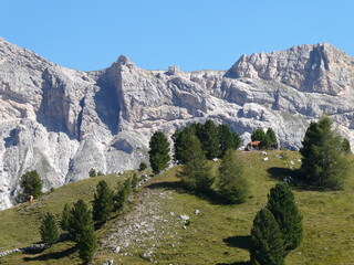 alpine landscape with horses