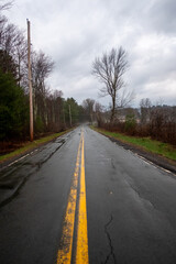 Fototapeta premium Spooky road