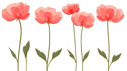 Obraz premium Flat Illustration of Peonies with Long Stems and Many-Layered Petals on White Background, Vector Illustration