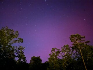 Naklejka premium Southern lights 