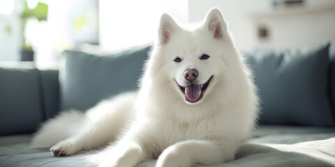 White dog sitting on a sofa, generative AI