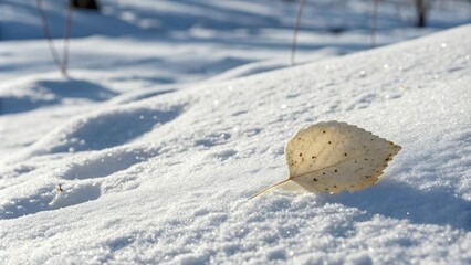A single white poplar salted chip resting on a snowy landscape, solitary snack, winter scene, frosty landscape, cold winter wonderland